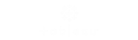 Tableau-Logo-Web-Agency-Trep-DigitalX.png