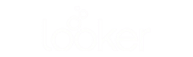 Looker-Studio-Logo-Web-Agency-Trep-DigitalX.png
